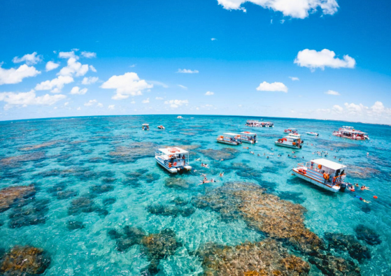 Mergulho compartilhado aracajau (2)