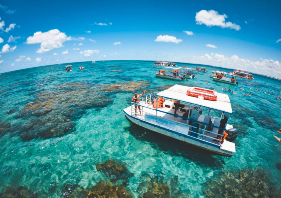 Mergulho compartilhado aracajau (3)