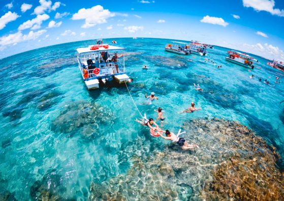 Mergulho compartilhado aracajau (4)